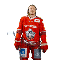 Goal Win Sticker by Eisbären Regensburg
