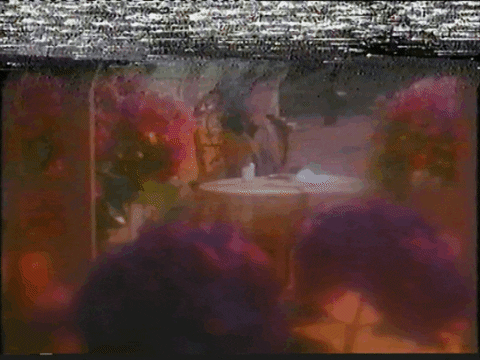 the madwoman of chaillot glitch GIF by Please Rewind