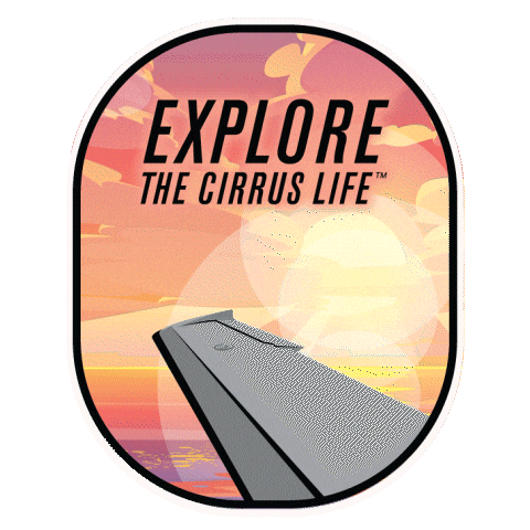 Plane Sticker by Cirrus