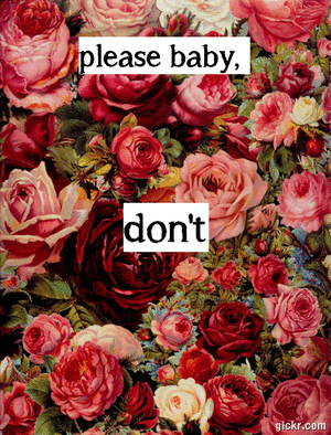 baby please GIF