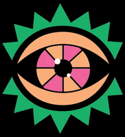 julianacvallada eye studio blink third GIF