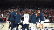 GonzagaBulldogs dancing basketball gonzaga gonzaga basketball GIF