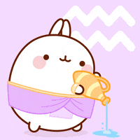 Sign Leo GIF by Molang