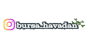 Bursa Sticker by bursahavadan