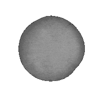 Nest Jafra Sticker by Jafra Productions