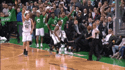 excited boston celtics GIF by NBA
