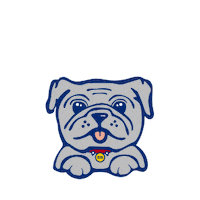 Spikey Sticker by Escuela Internacional Sampedrana