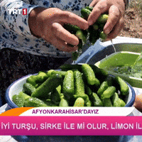 Vegetables Al GIF by TRT