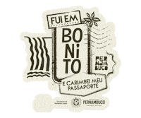 Pe Bonito Sticker by EMPETUR