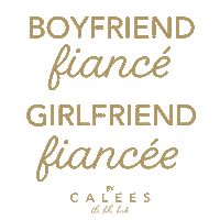 Wedding Love Sticker by Calees