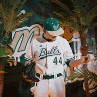 South Florida Baseball GIF by USF Athletics