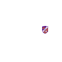 Armenianfootball Sticker by Urartu FC
