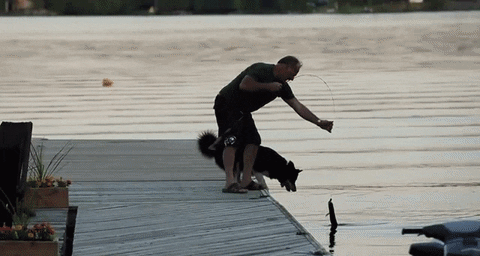 giphygifgrabber GIF