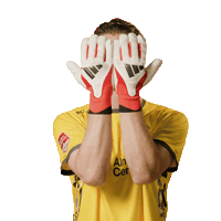 Wessel Speel Sticker by AlmereCityFC