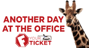 Another Day Fyt Sticker by Fyourticket