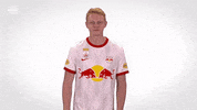 Lets Go Yes GIF by FC Red Bull Salzburg