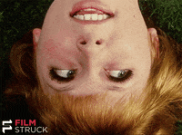 criterion collection daisies GIF by FilmStruck