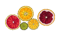 Orange Fruit Sticker