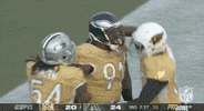 National Football League GIF by NFL