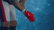 Football Nfl GIF by New England Patriots