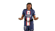 Psg Kadi Sticker by Paris Saint-Germain