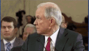 Meme gif. Sequence of people and animals whipping their heads around in shock, including Jeff Sessions, a black dog, a football coach, a cat, and a ferret.