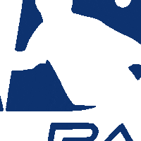 Sport Pala Sticker by Padel ADT