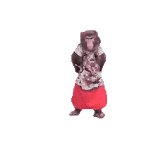 Fun Monkey Sticker