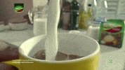 india chai GIF by bypriyashah