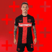 Bayer 04 Love GIF by Bayer 04 Leverkusen