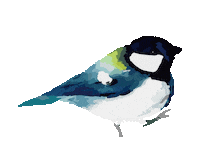 Miki_After_Party art bird 可愛い 鳥 Sticker