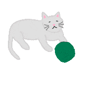 Cat Kitty Sticker by FNBO