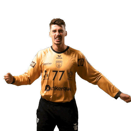 Celebration Handball Sticker by USDK