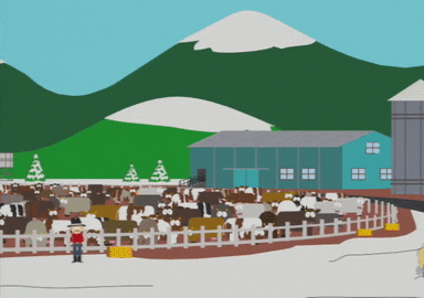 school bus GIF by South Park 
