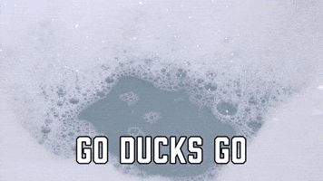 Go Ducks Go