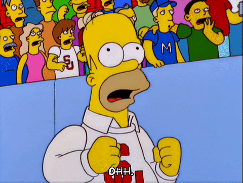 homer simpson GIF