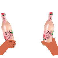 Sparkling Soft Drinks Sticker by Belvoir Lemonades & Cordials