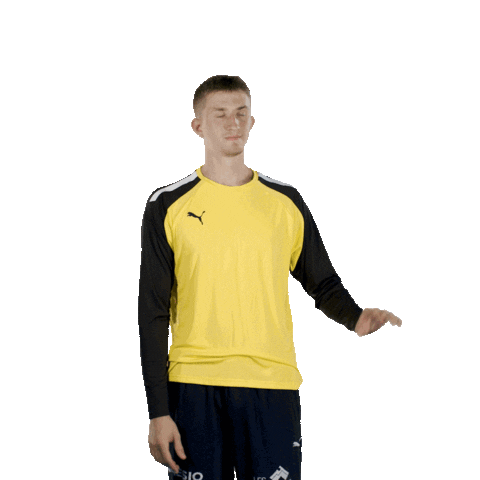 France Thank You Sticker by Montpellier Handball