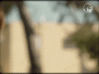 Eternal Tv GIF by Eternal Family
