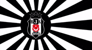 mistik_kullanici besiktas beşiktaş GIF