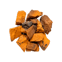 Commons Chaga Sticker by Commons. adaptógenos