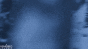 screenmediafilms wolf wolves screen media films screen media GIF