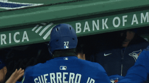 Blue Jays Baseball GIF by Toronto Blue Jays