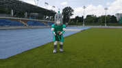 TytaniLublin sport team run rush GIF