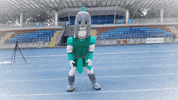 TytaniLublin football team ball catch GIF