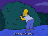 homer simpson episode 3 GIF