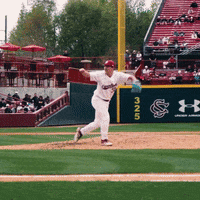 South Carolina Celebration GIF by gamecocksonline