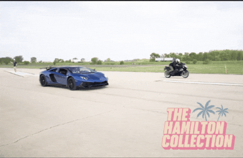 Drag Race Svj GIF by TheHamiltonCollection