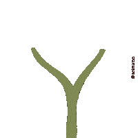 Flowers Gift Sticker