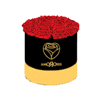 Flowers Love Sticker by Amoroses